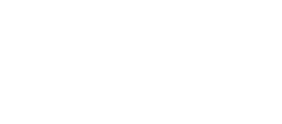 SkyNav International